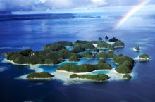 Fish 'n Fins - Dive Operators - Dive Discovery Micronesia