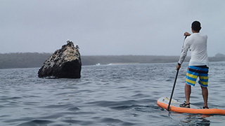 SUP (stand up paddling) - Galapagos
