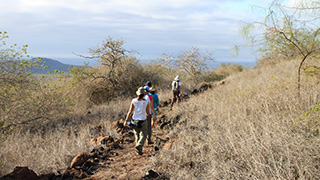 Walking - Galapagos