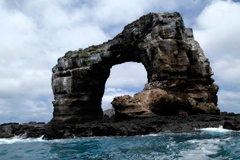 Scuba Dive Galapagos aboard Majestic Explorer - August 10-17 2019 Group Trip