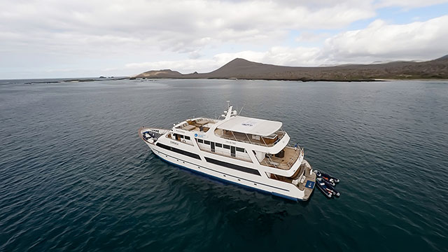 Galapagos Sea Star Journey - Galapagos Liveaboards - Dive Discovery Galapagos