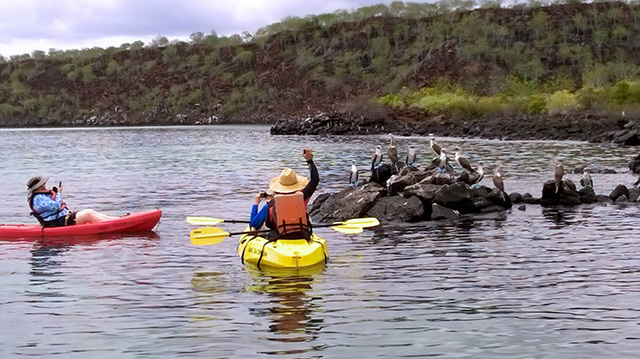 Kayaking - Ecuador & Galapagos, 14 Days - Galapagos Land Tour