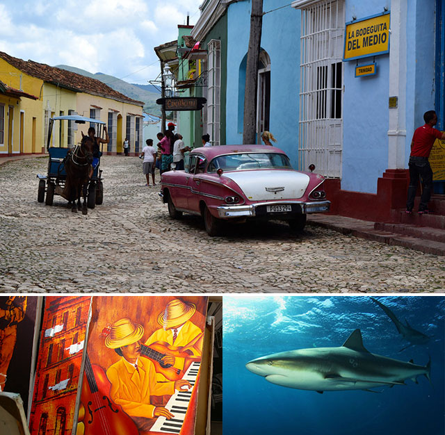 Shark Diving - Garden of the Queen - Cuba