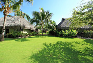 Garden area - King Deluxe Garden Bungalow with Private Pool - Hilton Moorea Lagoon Resort & Spa