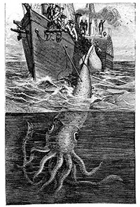 Humboldt squid hunting in the ancient time