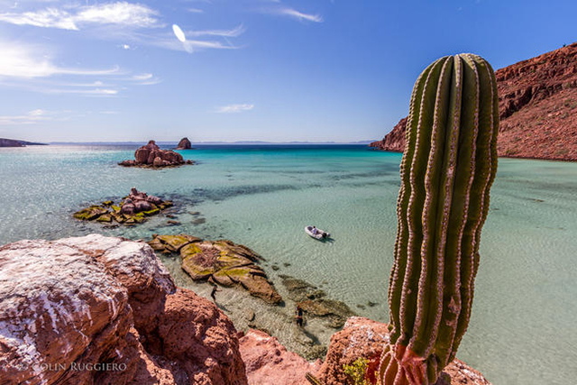 Glamping in Isla Espiritu Santo - Baja, Mexico