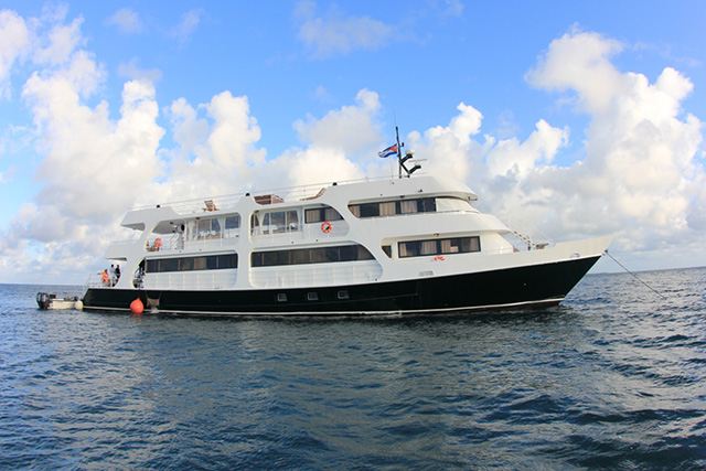 Jardines Avalon Fleet II - Cuba Liveaboards - Dive Discovery Cuba