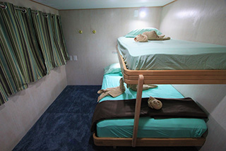 Bunk bed cabin - Jardines Avalon Fleet II - Cuba Liveaboard