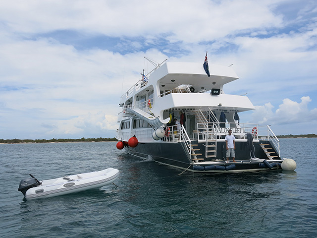 Dive deck - Jardines Avalon Fleet II - Cuba Liveaboard