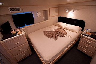 Double bed cabin - Jardines Avalon Fleet I - Cuba Liveaboard