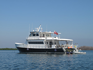 Jardines Avalon Fleet I - Cuba Liveaboards - Dive Discovery Cuba