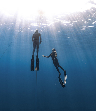 Free Diving - Jungle Bay Dominica - Dominica Dive Resort