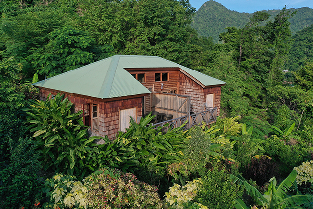 Villa Suite - Jungle Bay Dominica - Dominica Dive Resort