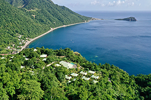 Jungle Bay Dominica - Dominica Dive Resorts - Dive Discovery Dominica