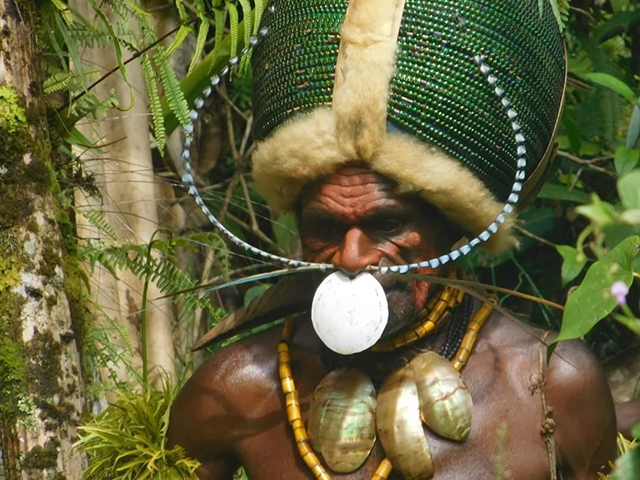 Kalam Tribe