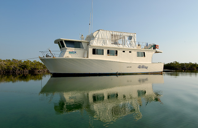 La Reina - Cuba Liveaboards - Dive Discovery Cuba