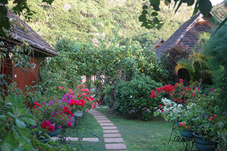 Bungalow - Le Manotel - Rurutu - Tahiti Resort