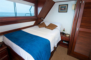 Cabin - M/Y Letty - Galapagos Liveaboards - Dive Discovery Galapagos