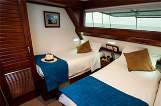 Cabin - M/Y Letty - Galapagos Liveaboards - Dive Discovery Galapagos
