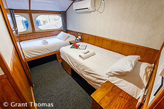 Twin cabin - MV Oceania