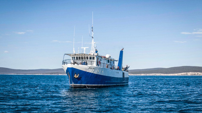 MV Rodney Fox liveaboard - Great White Shark Cage Diving, South Australia