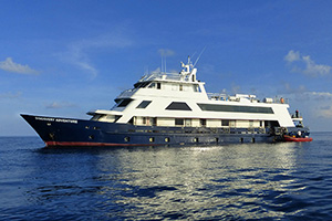 M/Y Discovery Adventure - Philippines Liveaboards - Dive Discovery Philippines