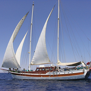 M/Y Elegante