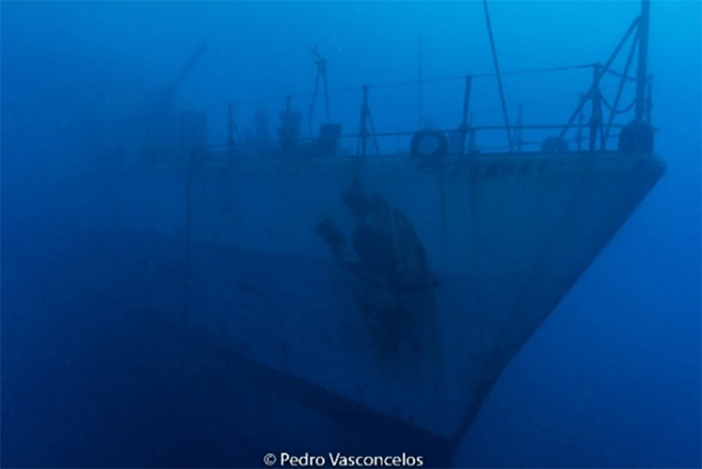 Dive Madeira Island