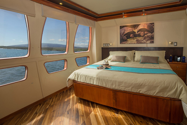 Main deck cabin - Majestic  Explorer - Galapagos Liveaboards - Dive Discovery Galapagos