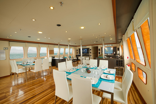 Dining area - Majestic  Explorer - Galapagos Liveaboards - Dive Discovery Galapagos