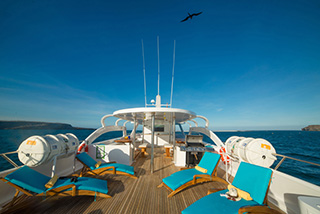 Sun deck - Majestic  Explorer - Galapagos Liveaboards - Dive Discovery Galapagos