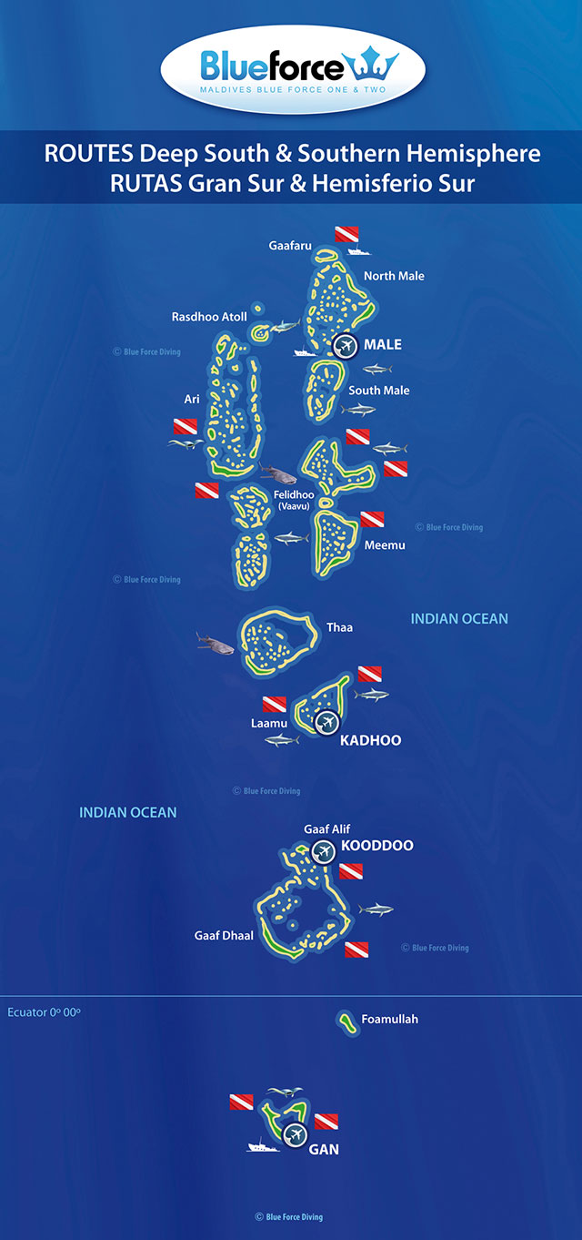 Maldives Blue Force Dive Tours