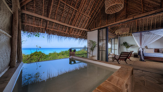 private plunge pool - Seafront Villas - The Manta Resort - Pemba Island Dive Resort