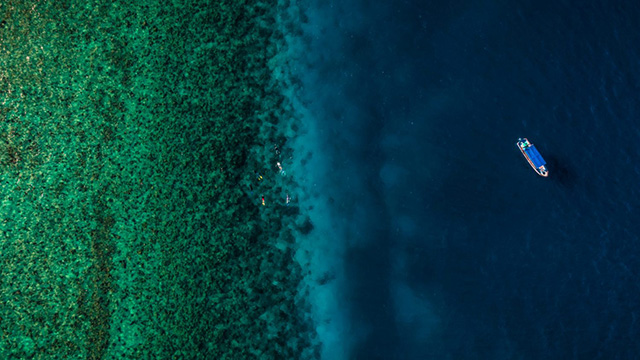 Snorkeling at The Manta Resort