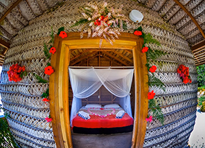 Bungalow - Matafonua Lodge - Tonga Dive Resorts - Dive Discovery Tonga
