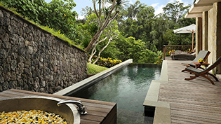 Pool - Heavenly Two Bedroom Pool Villa - Maya Ubud, Bali