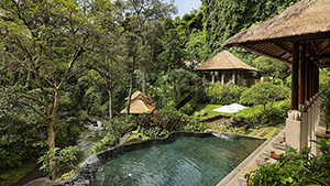 Maya Ubud Resort & Spa - Resorts in Bali - Dive Discovery Indonesia
