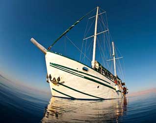 Israel & Sinai, Egypt Shore Diving & Liveaboard Combo (8-day) - Mediterranean and Red Sea Diving
