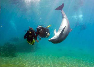 Israel & Jordan - Mediterranean Red Sea Diving & Land (8-day) - Dive Discovery