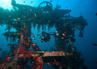 Unique Diving & Land Safari (8-day) - Mediterranean and Red Sea Diving