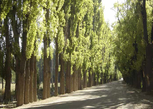 Mendoza - Argentina - Dive Discovery