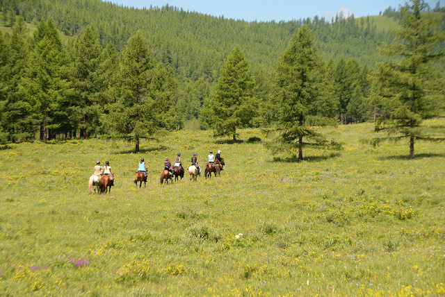 Jalman Meadows