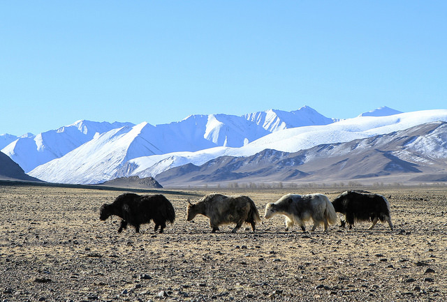 Hökh Serkhiin Nuruu National Park