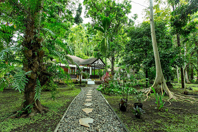 Murex Manado Resort - Indonesia Dive Resort