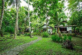 Bungalows - Murex Manado Resort - Indonesia Dive Resort