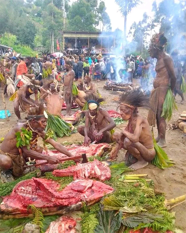 butchering pigs called Bugla Togo