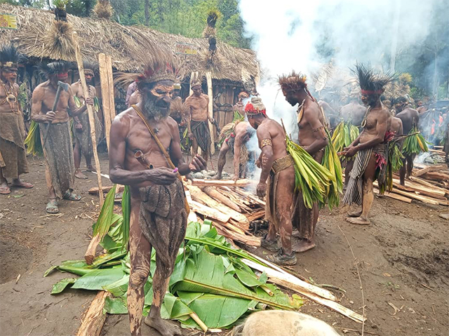 all pigs are put into ground oven, cooked and prepare for distribution