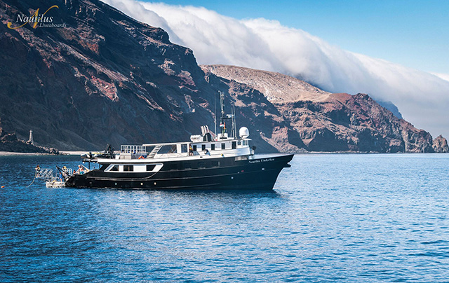 Nautilus UnderSea - Socorro Liveaboards - Dive Discovery Socorro Island