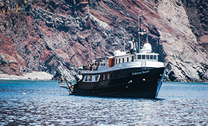 Nautilus UnderSea - Socorro Liveaboards - Dive Discovery Socorro Island