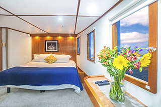 Premium Suite - Nautilus Under Sea - Cocos Island Liveaboards